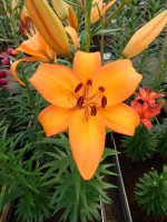 [5022 Benfica No01.JPG]